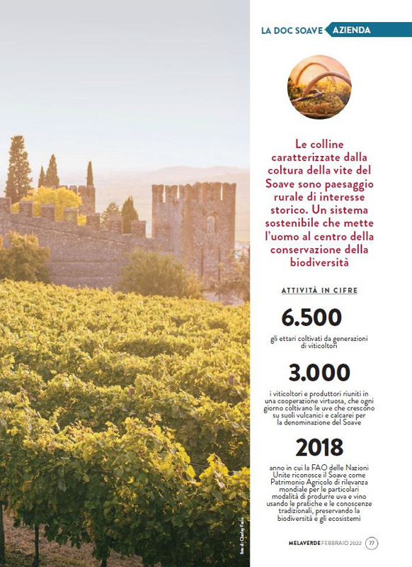 melaverde Feb 2022 (6)