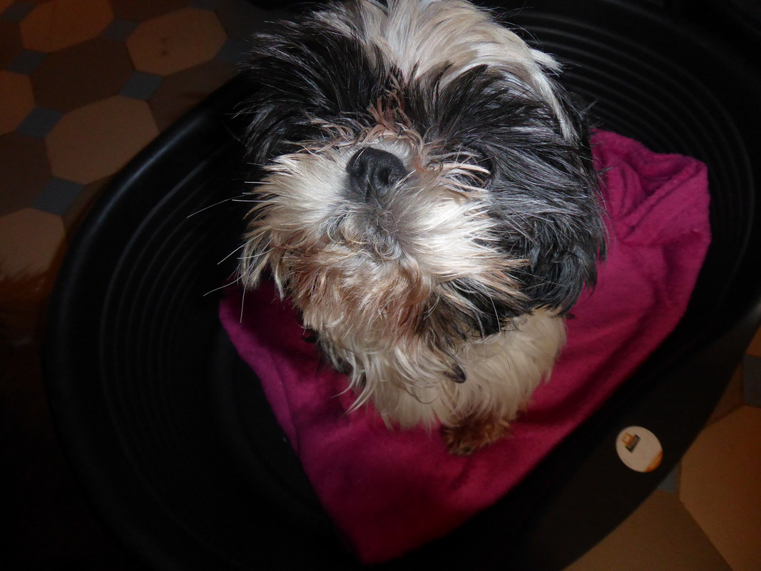 [Image: P1020241.jpg]