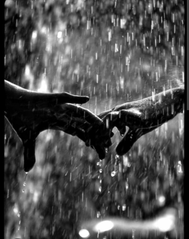 Screenshot_20221129-194820_Chrome