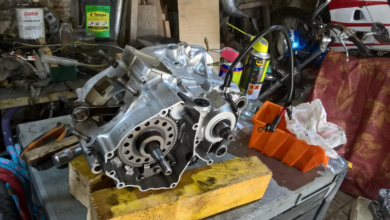 WP_20190903_14_24_46_Pro (Copier)