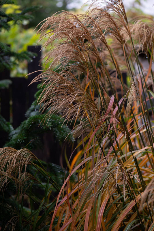 IMG-a8618138b5b11cbd20d5e7e1359707aa-V