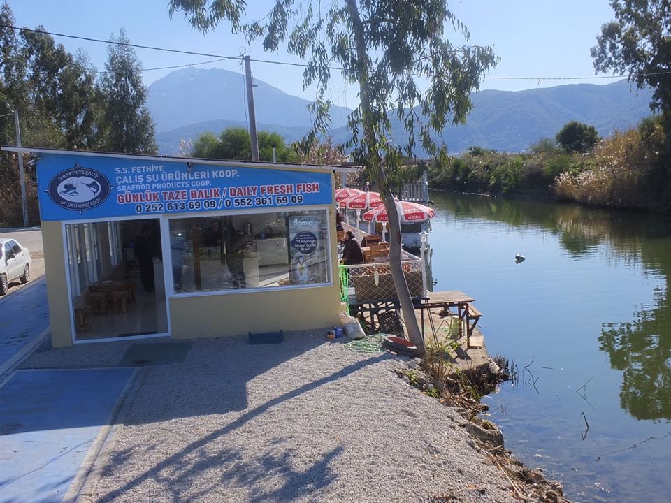 23020A05-FF7E-4A32-AA6C-0C8408D36BC7