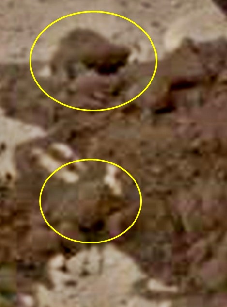 Nešto čudno se događa na mjestu InSight-a (Mars). Isparavanje podzemnog leda?  - Page 4 1-2