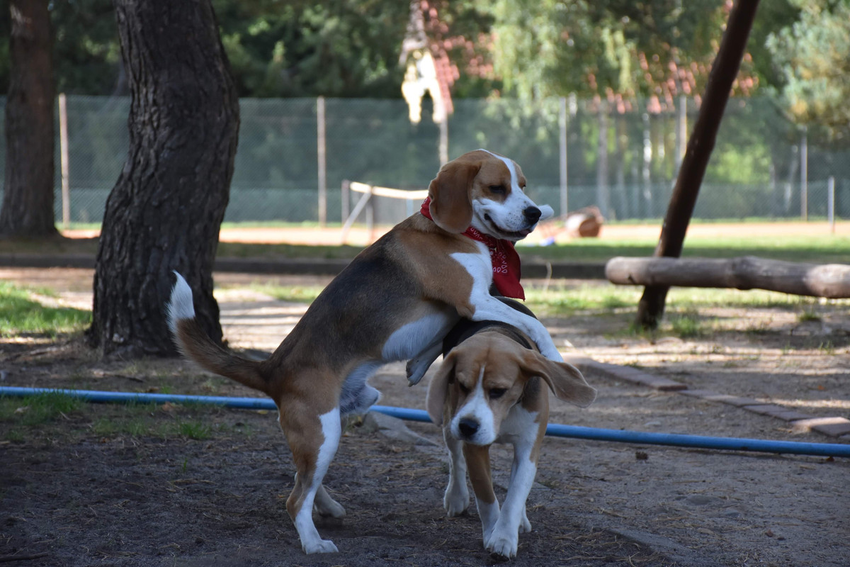 C92EC162-F7BE-4139-9123-BE1C542BEA33