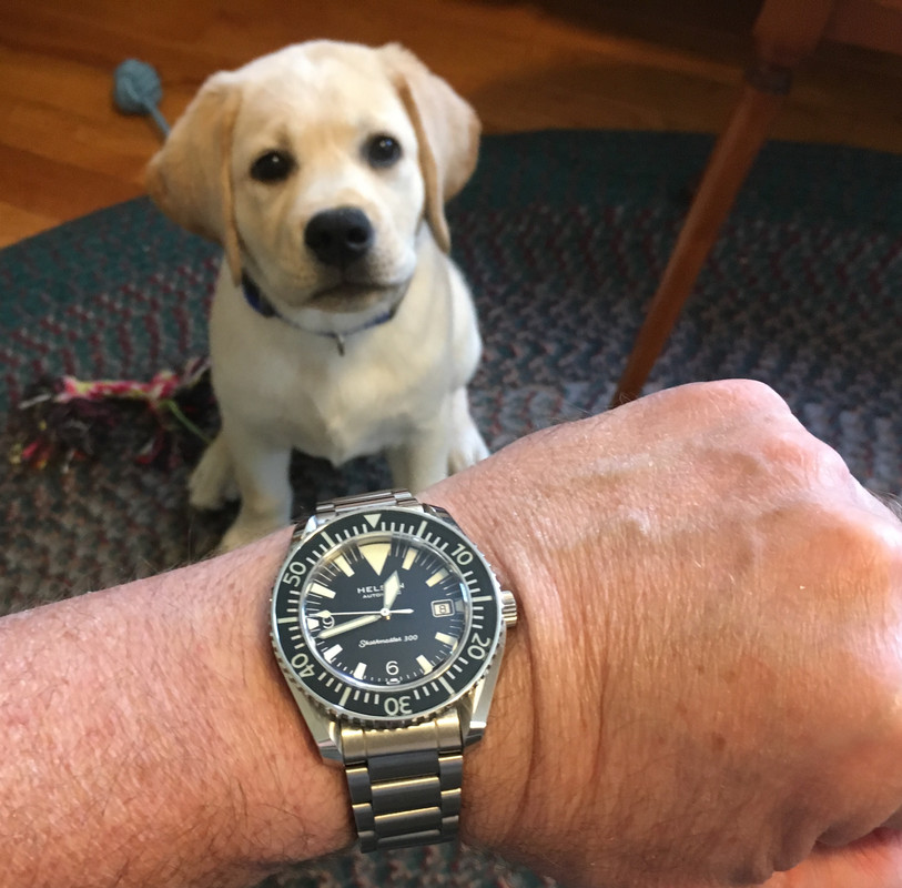 68096F62-0824-4837-8854-2752AA5CB8BC