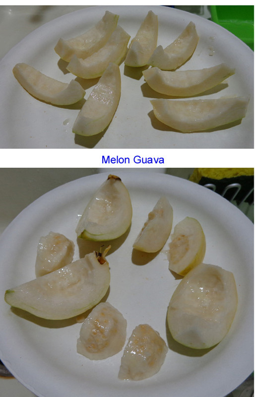 Guava-Melon-pic5