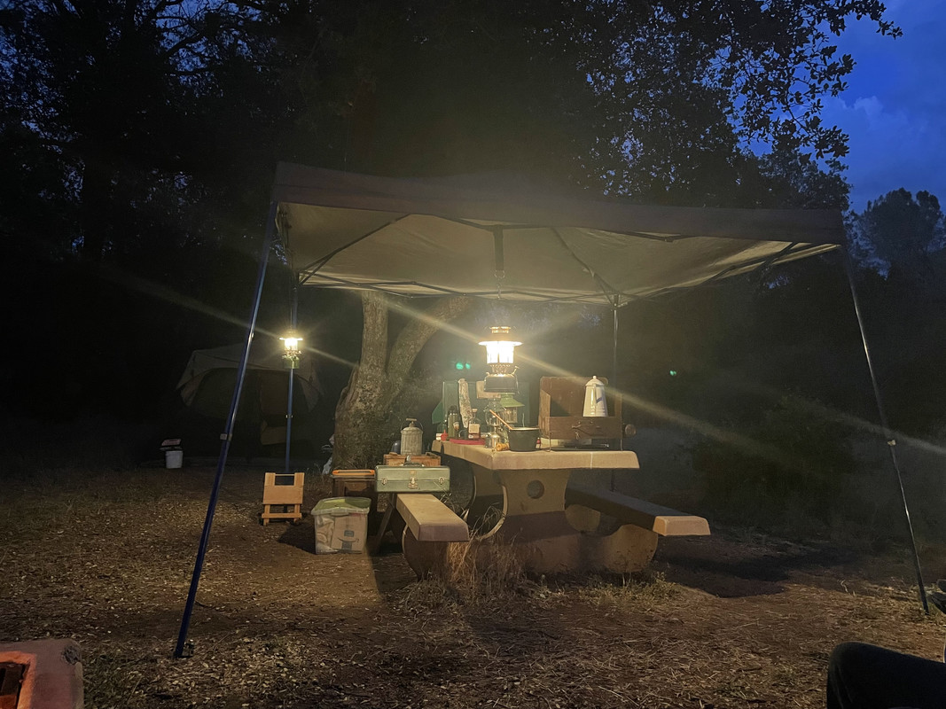 450C59F1-A813-4F03-8857-0FA16ACE3416