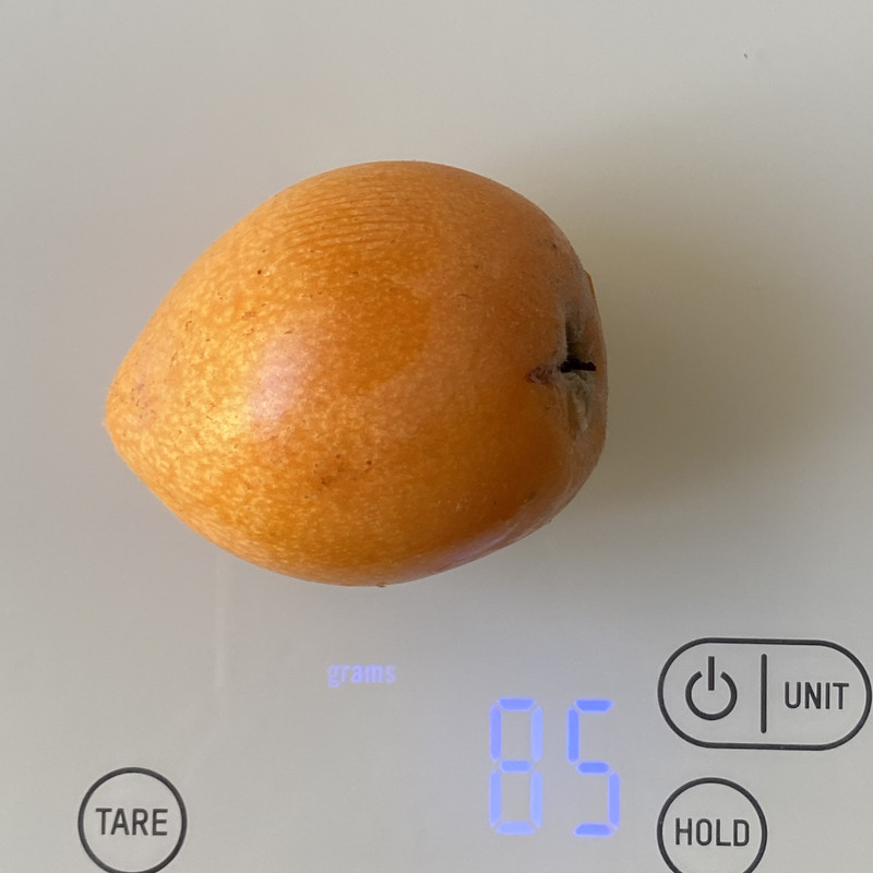 86E3E433-7194-43C7-AAAF-0DF3FAB33138