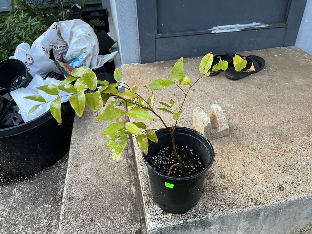 07BEB0DD-BC85-4F71-8F80-B77F7DCDA90D