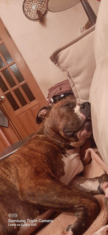 5AD398F5-26A7-42F4-B713-A0BE1BC81FF2