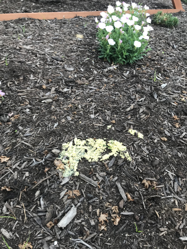 EC0DC722-3E59-44D8-8CA7-A61986B109F7