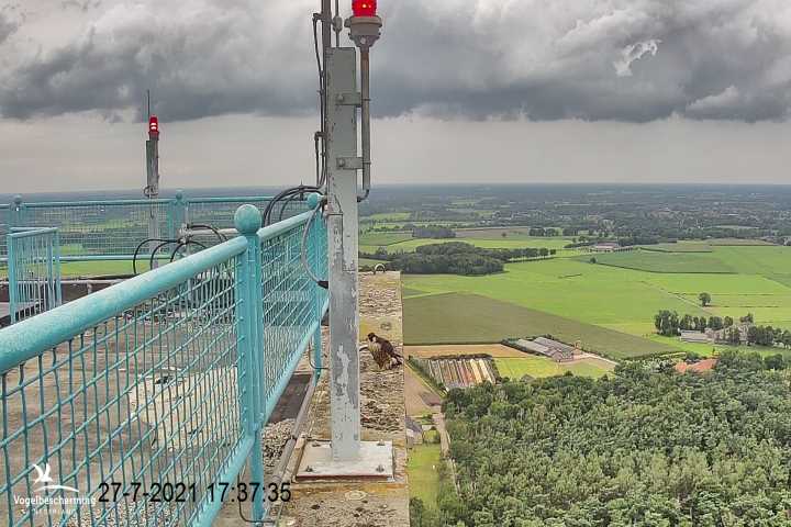 campics vanaf 1 juli © VWGGemert en bonusjes van ter plekke - Pagina 12 3