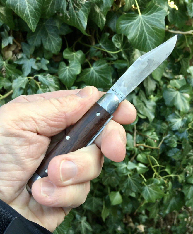 248BA2A5-A838-46F6-92A8-28F8866392B8