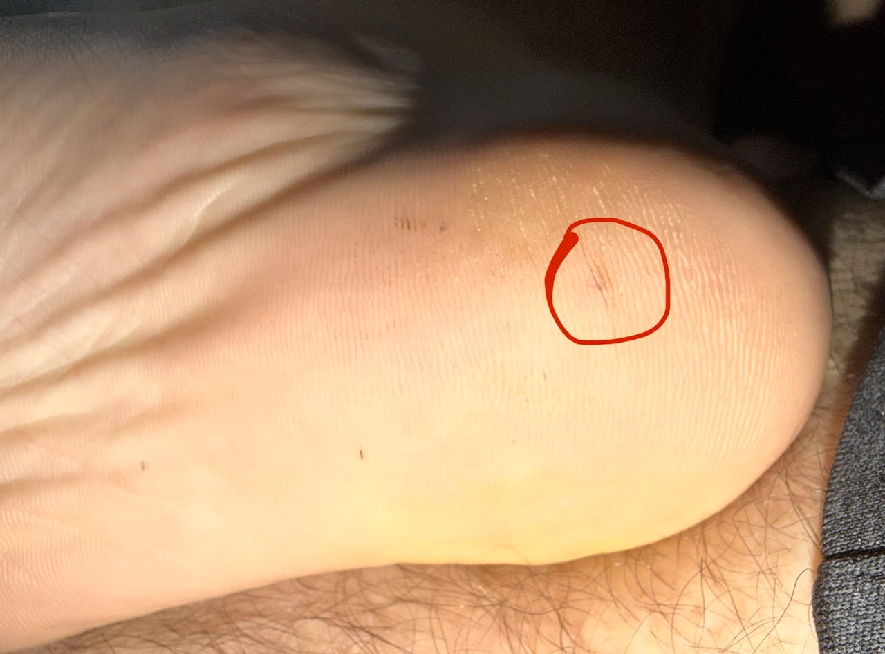 Screenshot 2026 02 16 at 9 33 46 AM