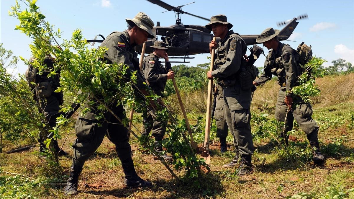 En Colombia, proponen regalar droga para combatir al narco