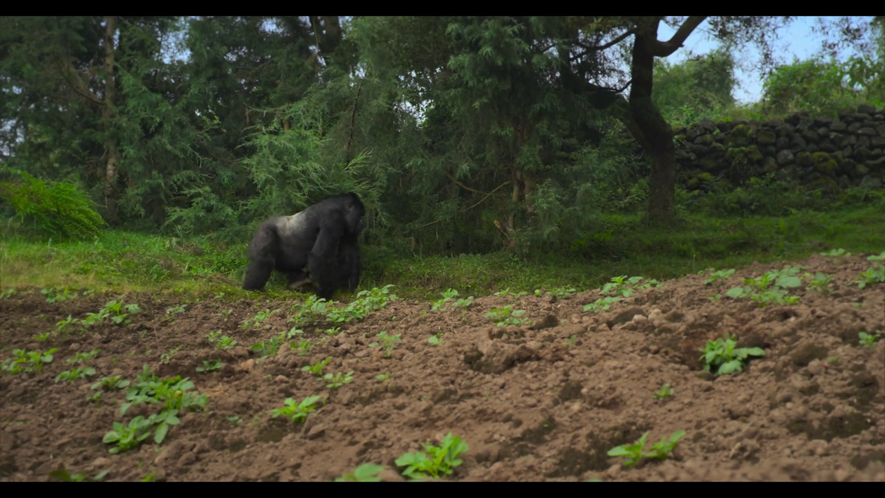 vlcsnap 2026 04 17 10h00m55s749