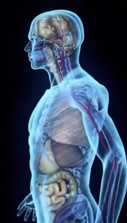 Oxigenação e Nutrição Celular