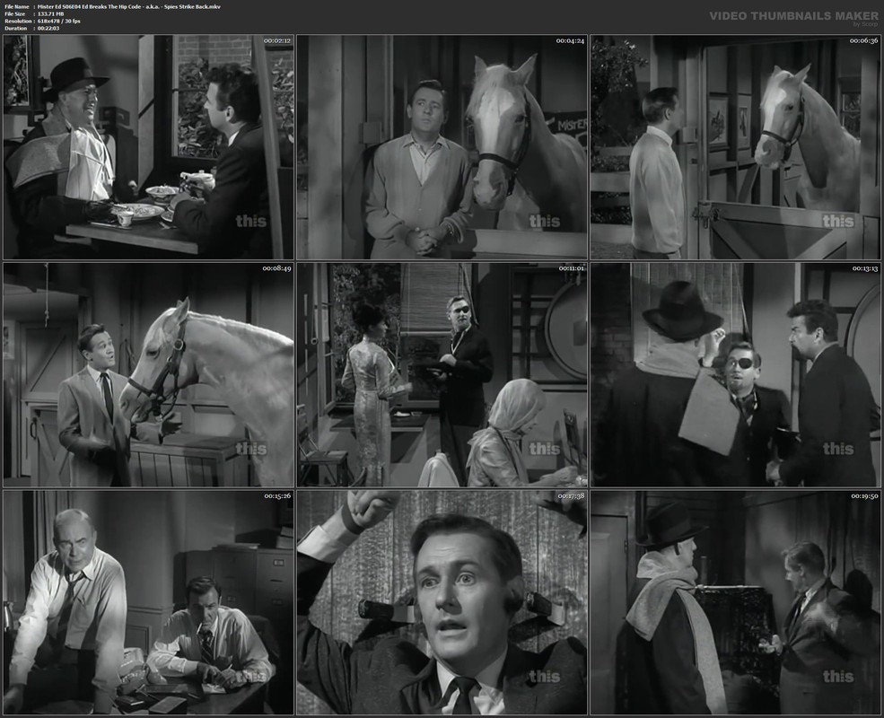 Mister Ed S06E04 Ed Breaks The Hip Code - a.k.a. - Spies Strike Back.mkv