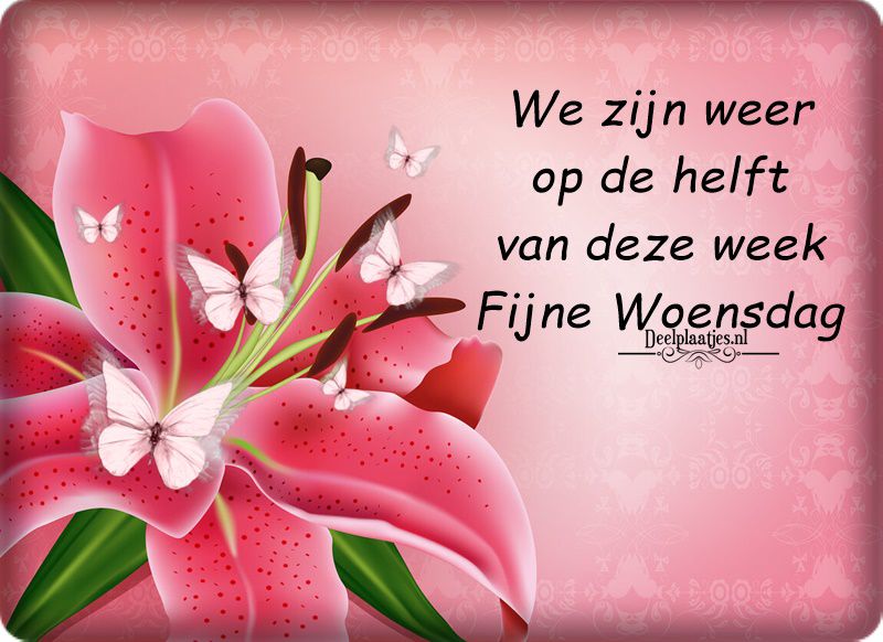 An den Beitrag angehängtes Bild: https://i.postimg.cc/x8Z5wSHD/deelplaatjes-nl-weer-op-de-helft-432370.jpg