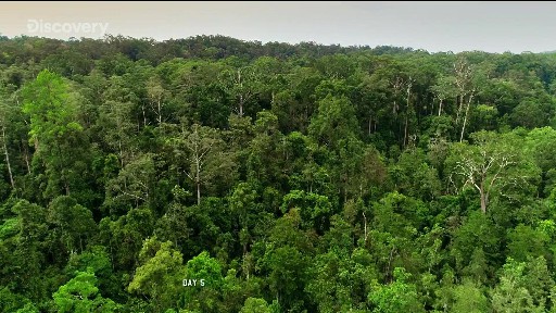 Discovery HD English (13)