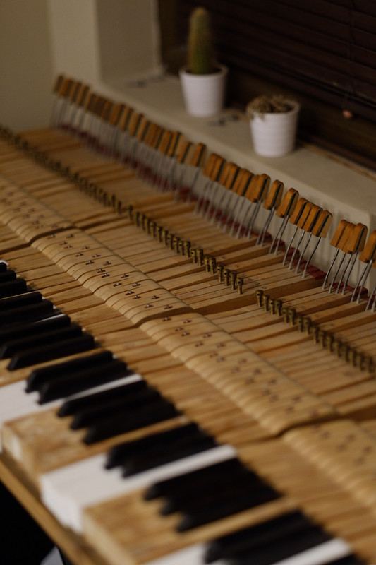 D3621720-FB68-4838-92B2-4EAB32350AFF