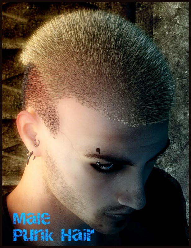 Male Punk Hair or Genesis 2 Male(s)