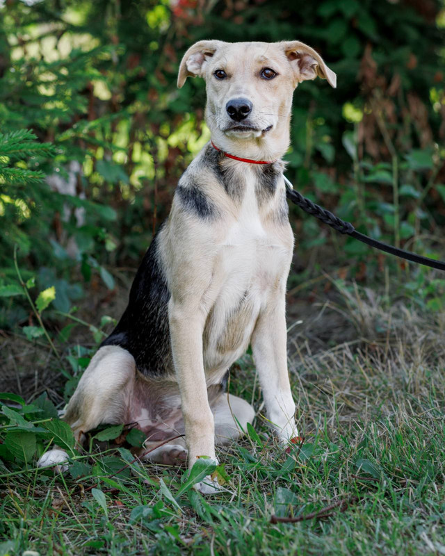 изображение_viber_2022-12-02_13-54-41-028