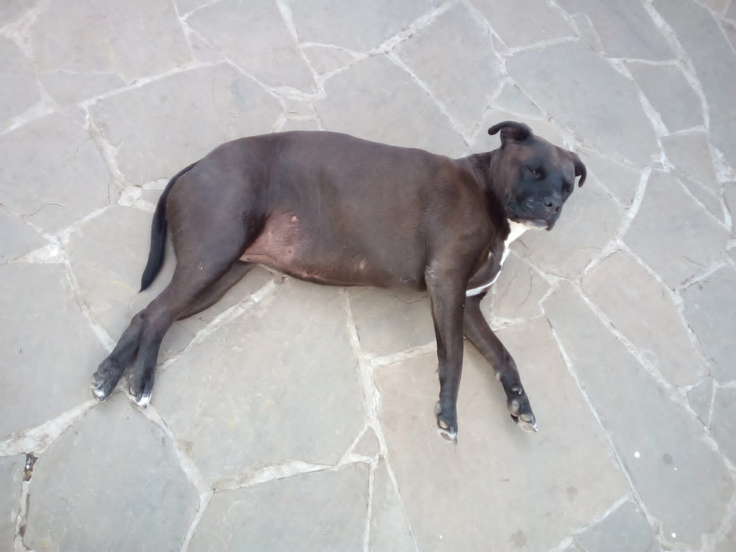 5730D3AF-499B-4EA3-BD4C-DCF0110D8D16