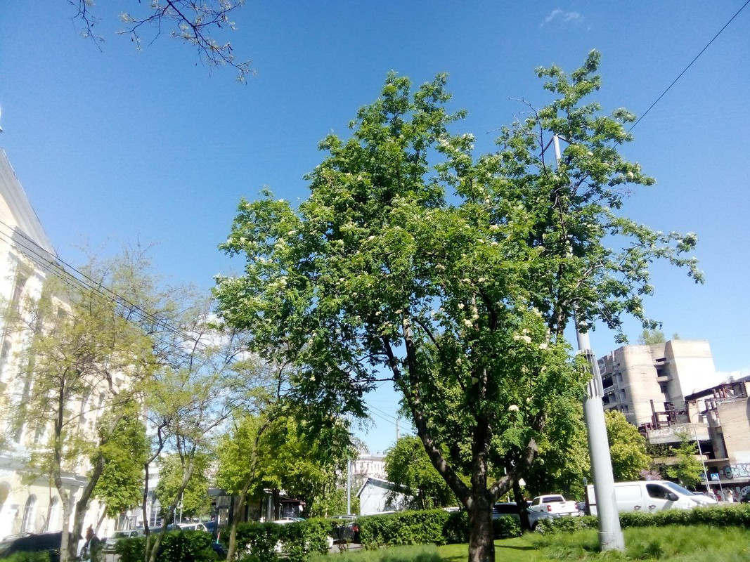 photo_2025-05-01 7.35.20 пп