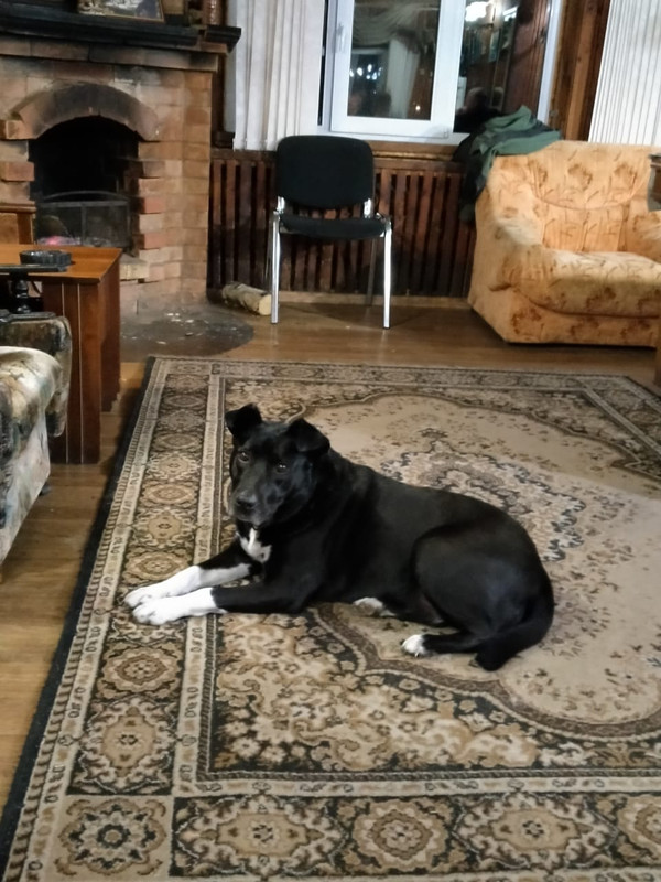 488E2D3D-977E-4F93-8449-6DF02F1A93EE