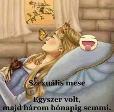 https://i.postimg.cc/x8ZtTvWR/szexualis-mese.jpg
