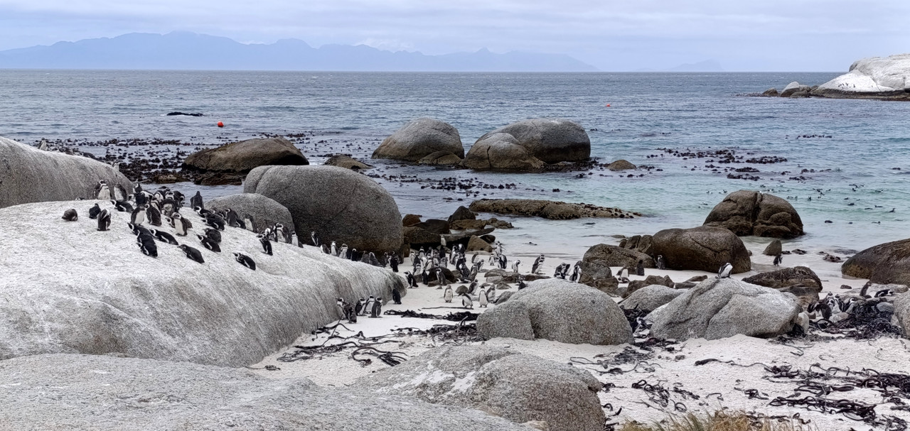 Такая близкая Африка. (ЮАР. 22 дня и 4200 км. Ноябрь-Декабрь)