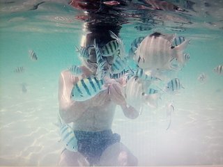 KOH TAO: PLANETA MARAVILLOSO - Blogs de Tailandia - PRÓLOGO, LLEGADA Y PRIMERA TOMA DE CONTACTO (4)