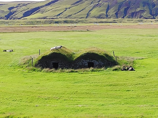 Islandia 2020: En autocaravana y sin coronavirus - Blogs de Islandia - --Día 4 (25 julio): Keldur - Trío de cascadas - Seljavallalaug - Solheimajokull (5)