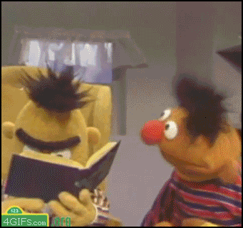Bert-Gif.gif