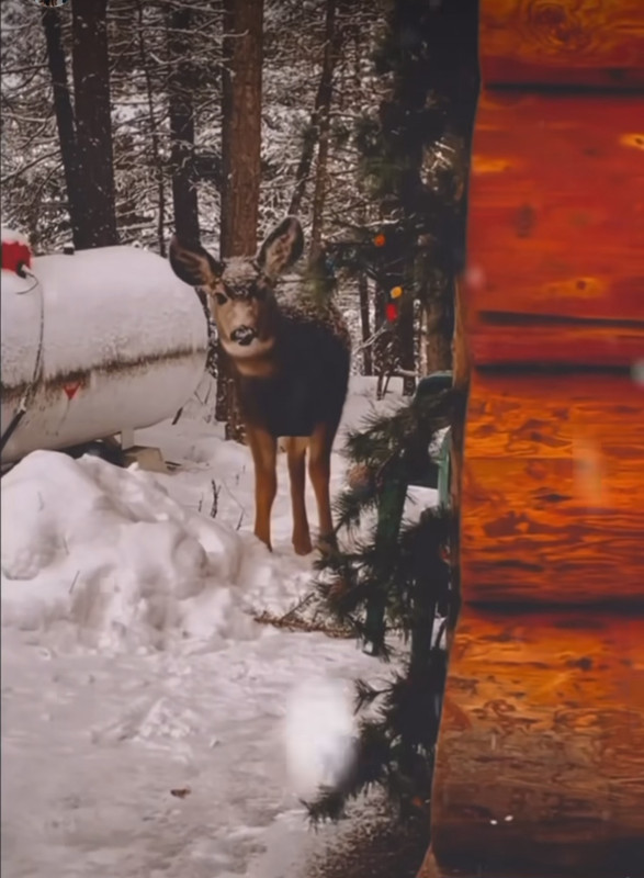 Screenshot_20231124_200705_Instagram