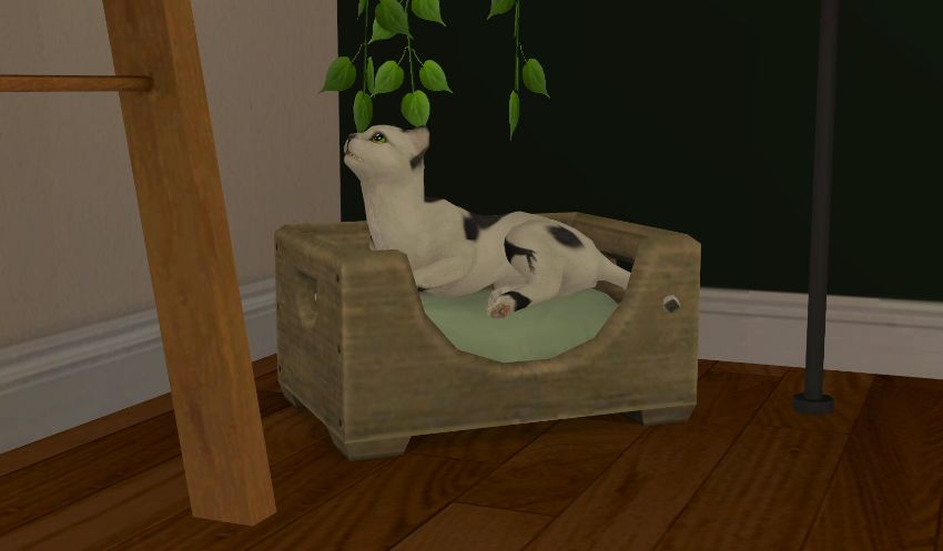Sims2-EP9-2020-12-22-23-49-03-06