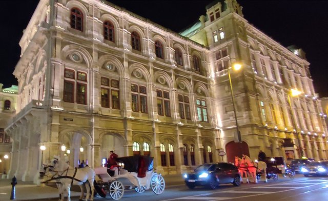 Adios Praga, hola Mercado del Ayuntamiento de Viena y concierto - Viena - Bratislava - Praga, Navidad 2024 (26)