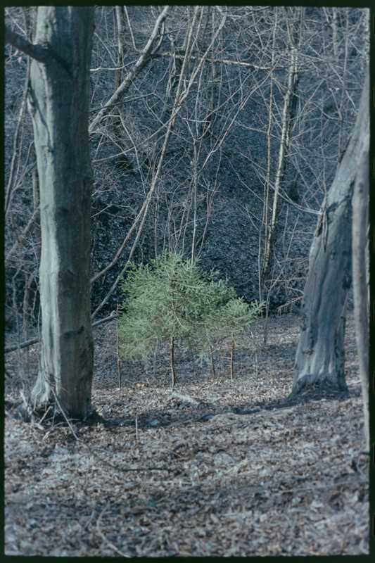 Nikon FM2n_Nikkor micro 55mm_10feb2022_11 (853x1280)