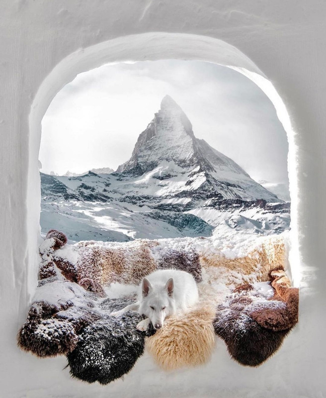 Screenshot_20231210_223304_Instagram