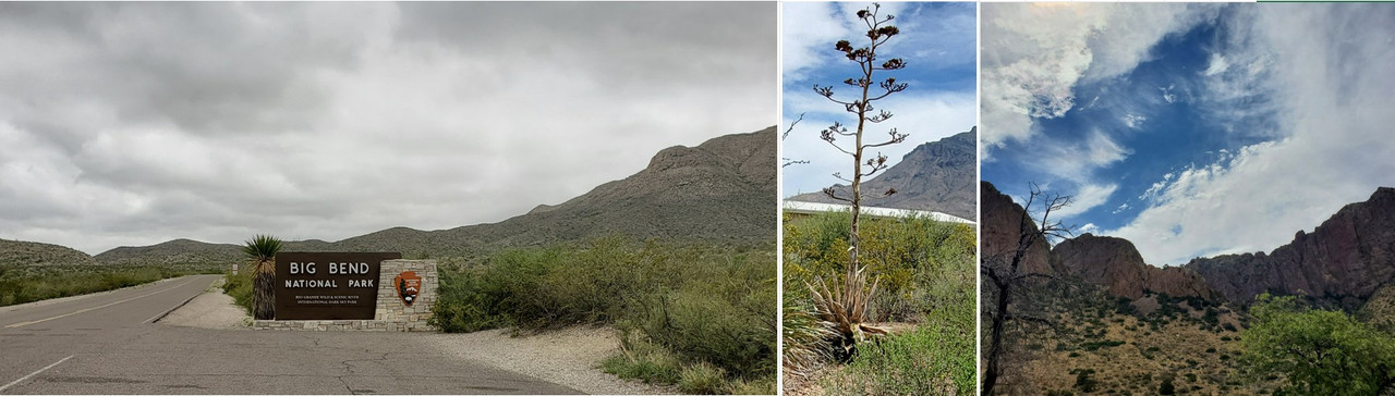 [Image: 144459BBNP.jpg]