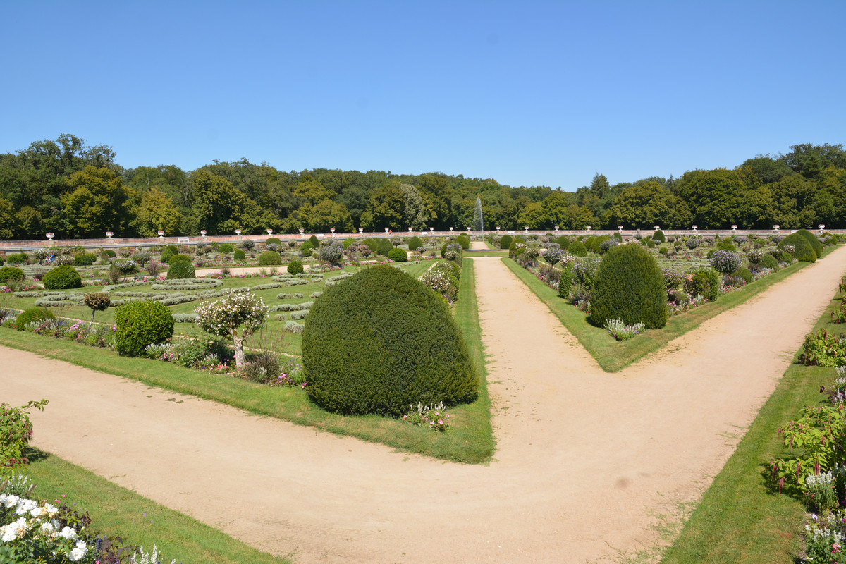 10.83 - DSC_8563 (Ater)