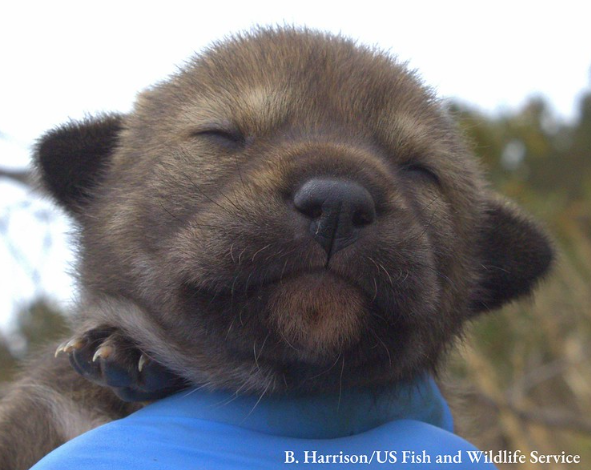 Screenshot 2025 11 25 7 26 29 AM