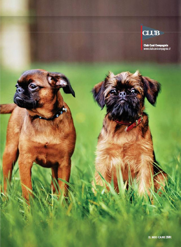 Il M C Dic 2022-Gen 2023 (10)