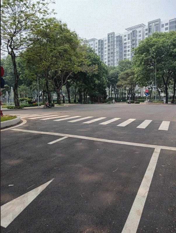 https://i.postimg.cc/x8cv6tv2/zebra-crossings.gif