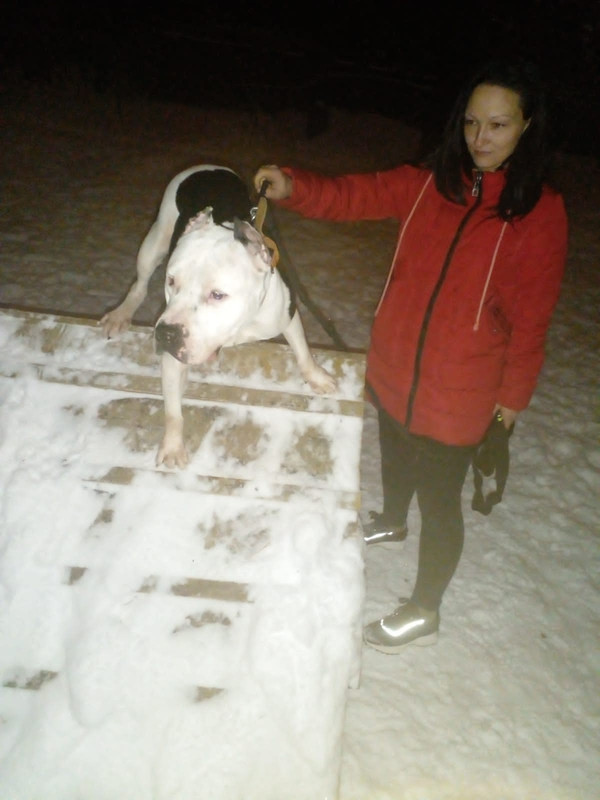 53EC9B50-B885-4F64-839A-E5C68F7B1C0F