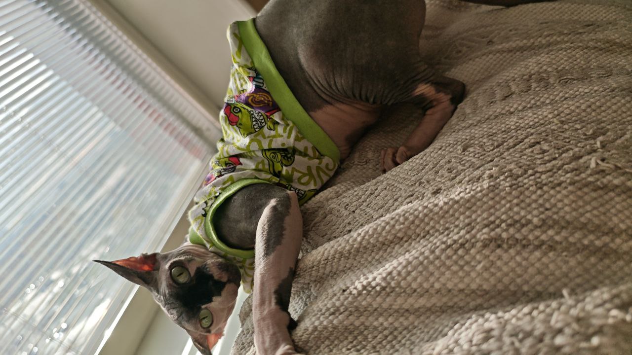 IMG 20251021 133222 961