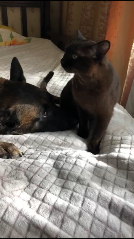 8324B12A-6D35-4389-BF72-3F8F3231B617