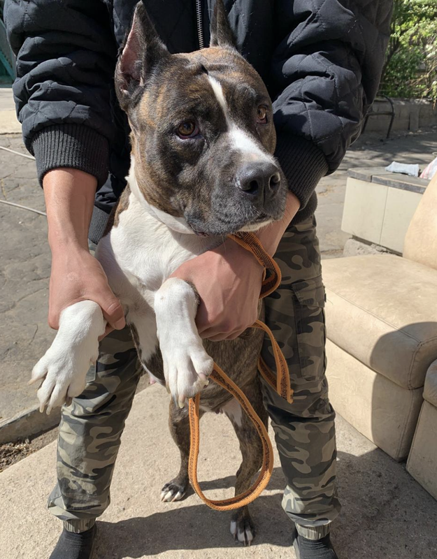 Снимок экрана 2025-04-29 в 17.42.52