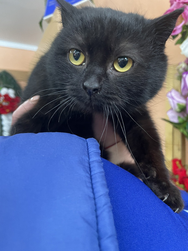 6F5BECFA-0677-482B-A951-F0DF0EBAFCAF